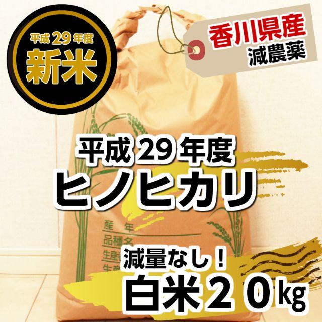 【送料込み】【減農薬！】平成29年度　ヒノヒカリ【減量なし！】 食品/飲料/酒の食品(米/穀物)の商品写真