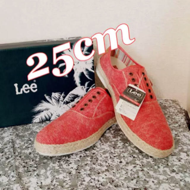 Lee(リー)の新品❤︎Leeスニーカー メンズの靴/シューズ(スニーカー)の商品写真