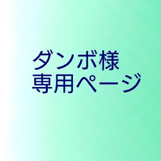 ルイヴィトン(LOUIS VUITTON)のダンボ様 専用ページ(その他)