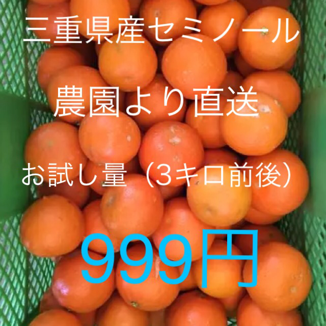 三重県産みかん 農園から直送 お試し量(3キロ前後) 食品/飲料/酒の食品(フルーツ)の商品写真