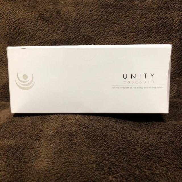 Unity コタラヒム310@