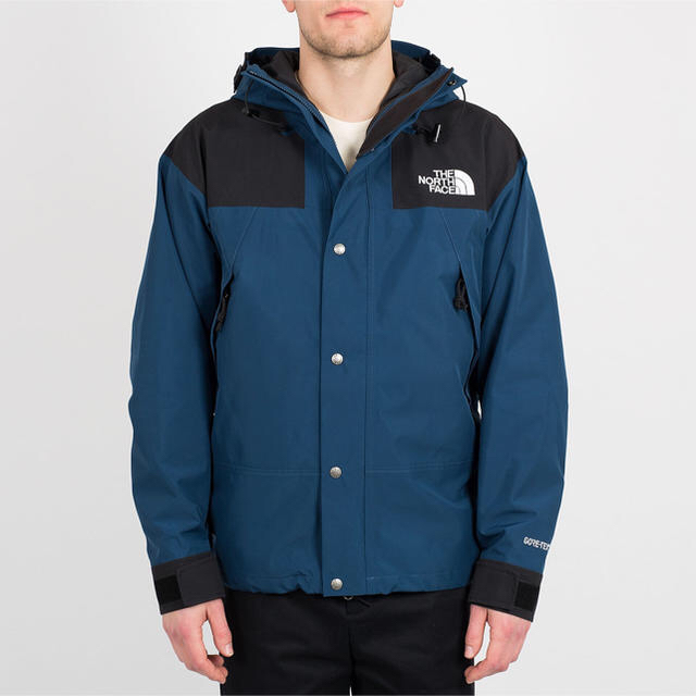 THE NORTH FACE 1990MountainJacketGTX