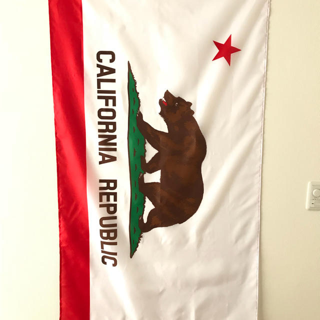 最安挑戦！ アメリカンフラッグカリフォルニア州旗3x5ft 90x150cm california USAサーフ