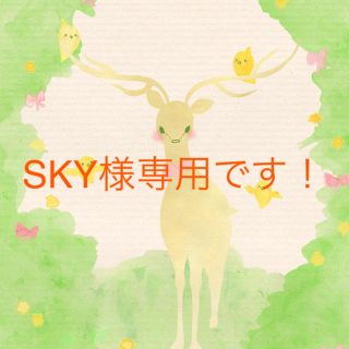 SKY様専用です！(歯磨き粉)