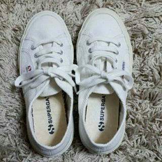 スペルガ(SUPERGA)のスペルガ　スニーカー　白(スニーカー)