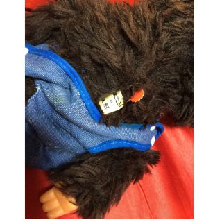 TOHO物産 まごころのぬいぐるみ ダイスケ 瞬き モンチッチ25cmの通販