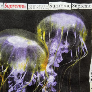 シュプリーム(Supreme)の✩18ss Supreme Jellyfish Tee Black L✩(その他)