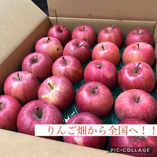 青森県産 弘前 りんご ｢サンふじ｣ 家庭用 5kg箱(フルーツ)