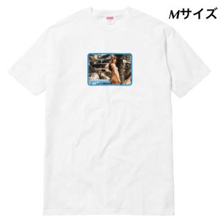 Supreme - 17SS Supreme Larry Clark Girl Tee Mサイズ 白の通販 by ...