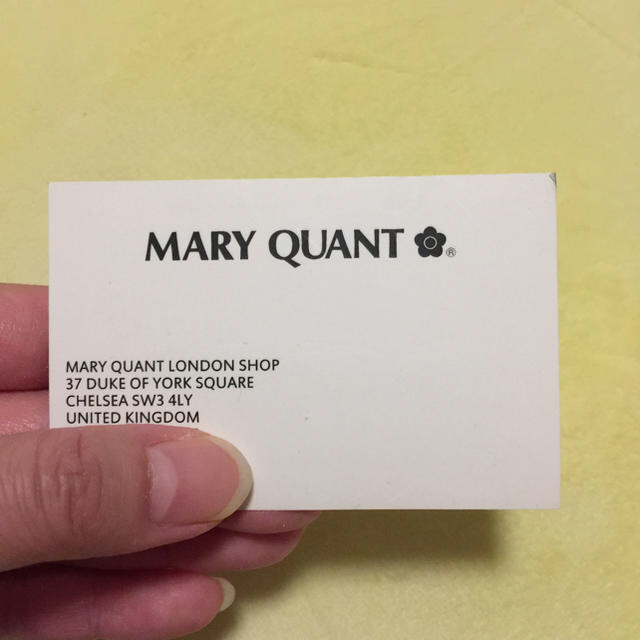 MARY QUANT(マリークワント)の激レアMARYQUANT マリークワント ラコステ コラボ ポロシャツ レディースのトップス(ポロシャツ)の商品写真