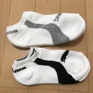 プーマ(PUMA)のプーマ靴下set(靴下/タイツ)