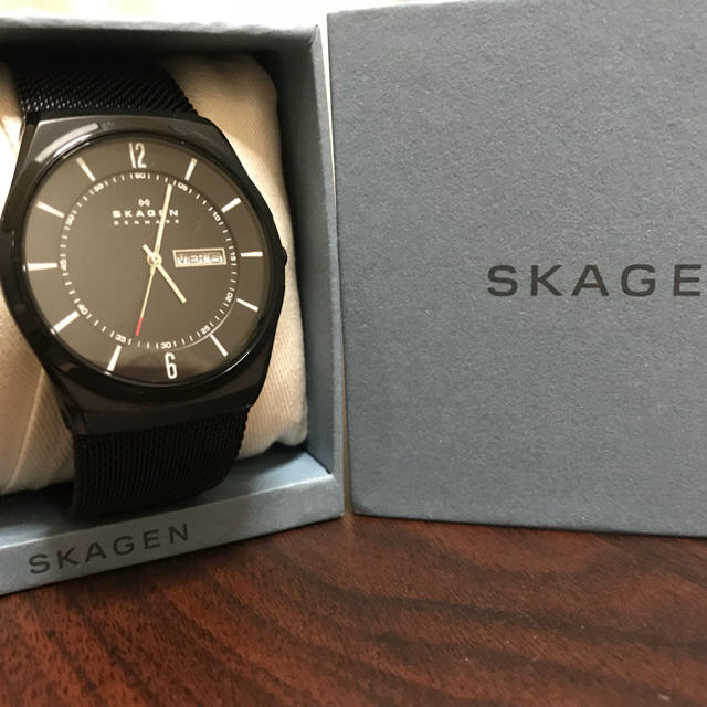 SKAGEN(スカーゲン)の腕時計 メンズの時計(腕時計(アナログ))の商品写真
