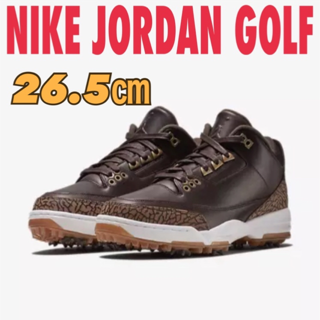 NIKE(ナイキ)のAIR JORDAN 3 GOLF PREMIUM スポーツ/アウトドアのゴルフ(シューズ)の商品写真