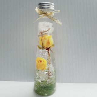 はる様 専用ページ黄色い薔薇のハーバリウム(ドライフラワー)