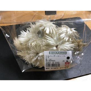 ☆新品未使用☆シルバーデージー ヘッド白20輪(ドライフラワー)