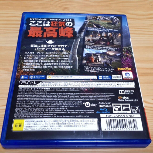 SONY(ソニー)のPS4 ファークライ4 FARCRY 4  美品 エンタメ/ホビーのゲームソフト/ゲーム機本体(家庭用ゲームソフト)の商品写真