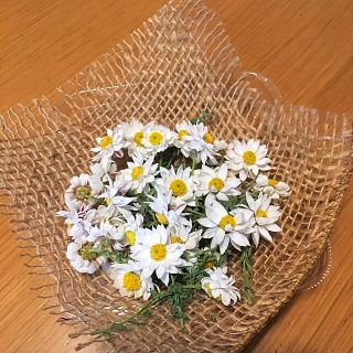 花かんざしとペーパーカスケードのドライフラワー(ドライフラワー)