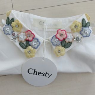 チェスティ(Chesty)のチェスティつけ襟(つけ襟)