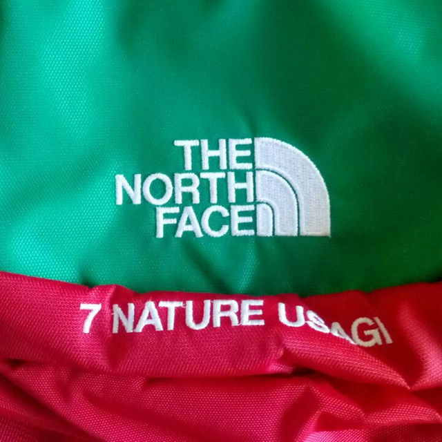 THE NORTH FACE(ザノースフェイス)のthe north face ワンショルダーバッグ メンズのバッグ(その他)の商品写真