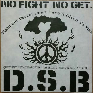 D.S.B「NO FIGHT NO GET」7インチ(その他)