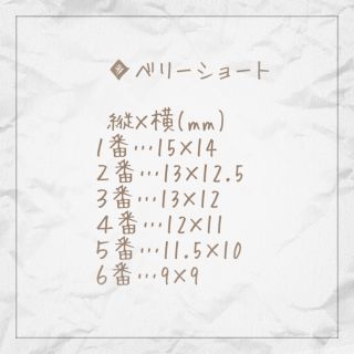 ■再販■*春先取り*桜の押し花*大人くすみカラー*偏光シェルと金箔埋込 コスメ/美容のネイル(つけ爪/ネイルチップ)の商品写真