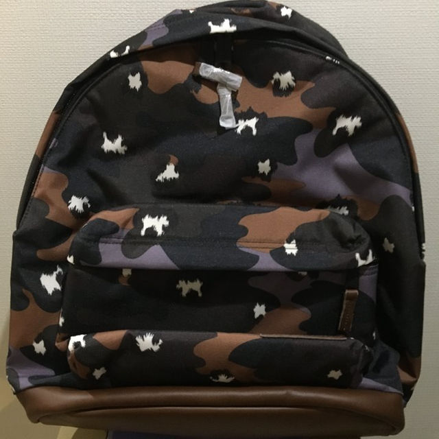 EASTPAK(イーストパック)の共通 【値下げ】【未使用品】EASTPAK×PAUL&JOEのディバック レディースのバッグ(リュック/バックパック)の商品写真