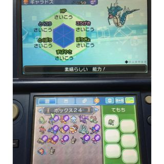 ポケモン(ポケモン)の[最終価格]ポケモンusum 最強データ ～引退品～(家庭用ゲームソフト)