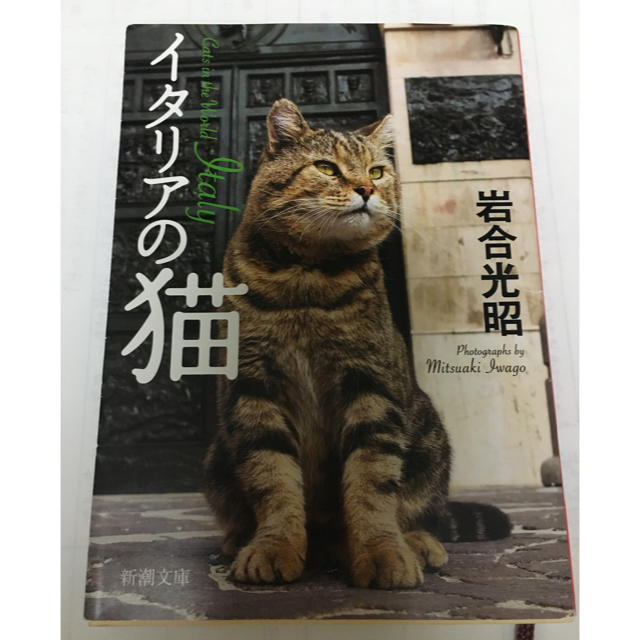 イタリアの猫 文庫本 エンタメ/ホビーの本(文学/小説)の商品写真