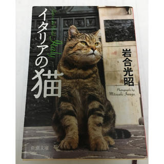 イタリアの猫 文庫本(文学/小説)