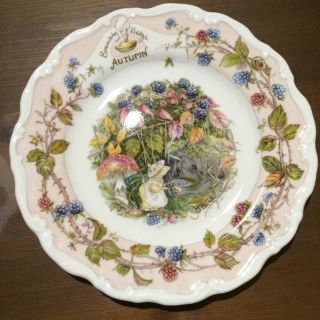 ロイヤルドルトン(Royal Doulton)のロイヤルドルトンブランブリーヘッジ(食器)