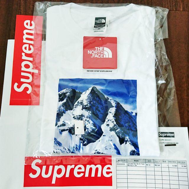 Tシャツ/カットソー(半袖/袖なし)Supreme The North Face Mountain Tee 白M