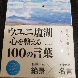 ウユニ塩湖　心を整える100の言葉(アート/エンタメ)