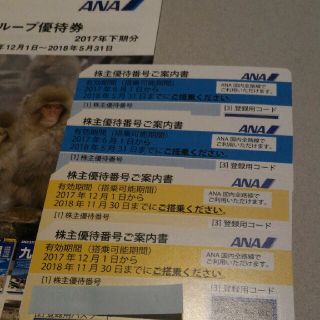 エーエヌエー(ゼンニッポンクウユ)(ANA(全日本空輸))の全日空株主優待券(航空券)