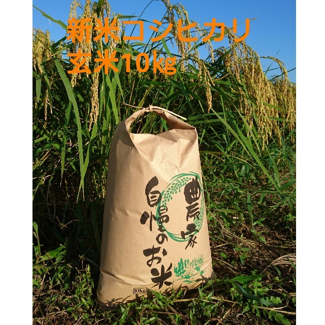 emu様専用茨城29年産コシヒカリ玄米10㎏ 食品/飲料/酒の食品(米/穀物)の商品写真