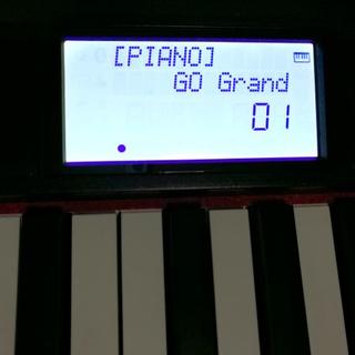 ローランド(Roland)の★☆ ROLAND GO:PIANO ☆★ ローランド キーボード 電子ピアノ (電子ピアノ)