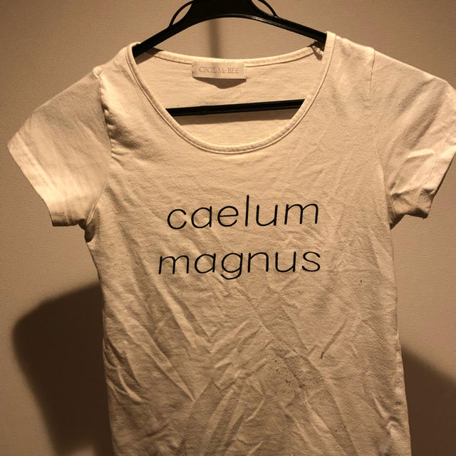 CECIL McBEE(セシルマクビー)のTシャツセット レディースのトップス(Tシャツ(半袖/袖なし))の商品写真