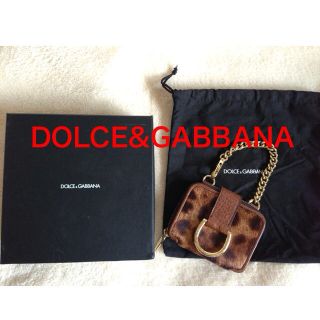 ドルチェアンドガッバーナ(DOLCE&GABBANA)のDOLCE&GABBANA 新品(ポーチ)