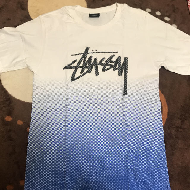 STUSSY(ステューシー)のSTÜSSY tシャツ2枚セット 値下げ！！ メンズのトップス(Tシャツ/カットソー(半袖/袖なし))の商品写真