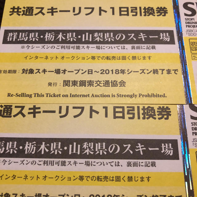 群馬、栃木、山梨 共通スキー場リフト券2枚