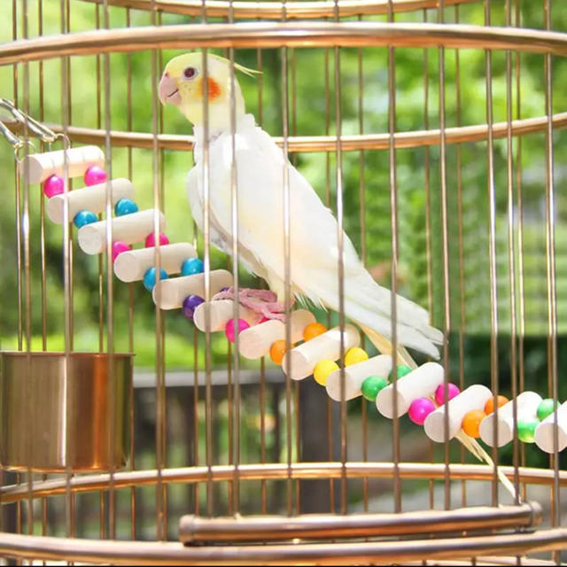 インコ おもちゃ はしご その他のペット用品(鳥)の商品写真