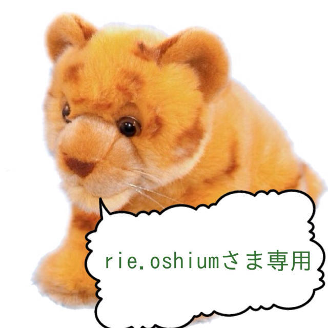 rie.oshiumさま専用☆おまとめ⑥ レディースのジャケット/アウター(トレンチコート)の商品写真