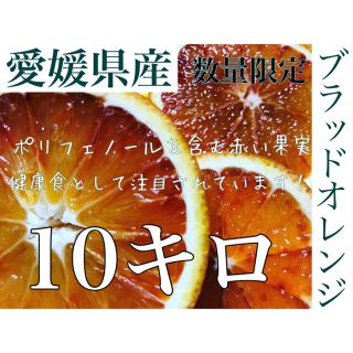 ブラッドオレンジ 数量限定 10キロ(フルーツ)