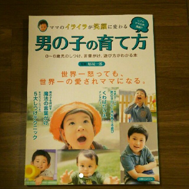 男の子の育て方★育児書 エンタメ/ホビーの本(住まい/暮らし/子育て)の商品写真