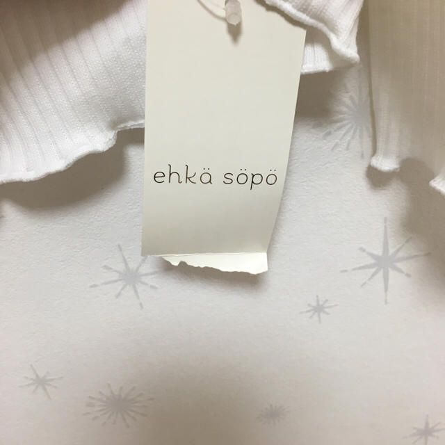 ehka sopo(エヘカソポ)のリブタートルネックトップス ehka sopo レディースのトップス(カットソー(長袖/七分))の商品写真