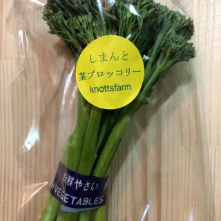 ★お試しサイズ★茎ブロッコリー★500g★無農薬★(野菜)