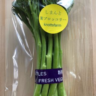 ★お試しサイズ★茎ブロッコリー★500g★無農薬★(野菜)