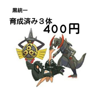 ポケモン(ポケモン)の色違い黒統一パーティ ポケモン(携帯用ゲームソフト)