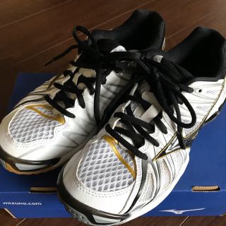 ミズノ(MIZUNO)のポプラ様専用 MIZUNO バレーボールシューズ 24.5㎝(バレーボール)