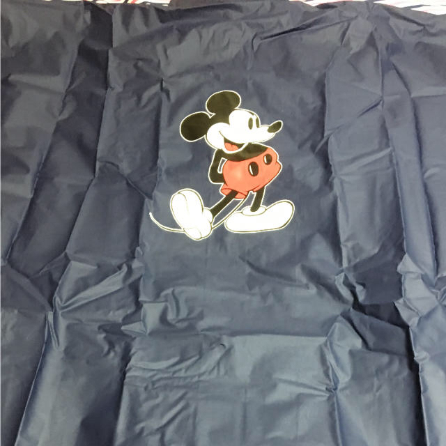 Disney(ディズニー)のディズニー購入 ポンチョ size L レディースのジャケット/アウター(ポンチョ)の商品写真