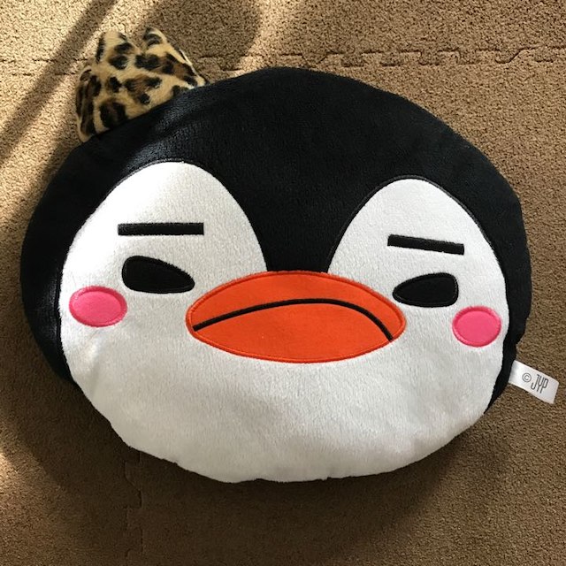 2PM ジュノ ペンペンクッション